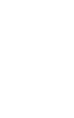 Revex Logo Outline